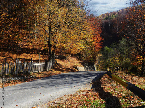 Typical autumn colours on a road at Doftana River Valley, Prahova County, Romania photo