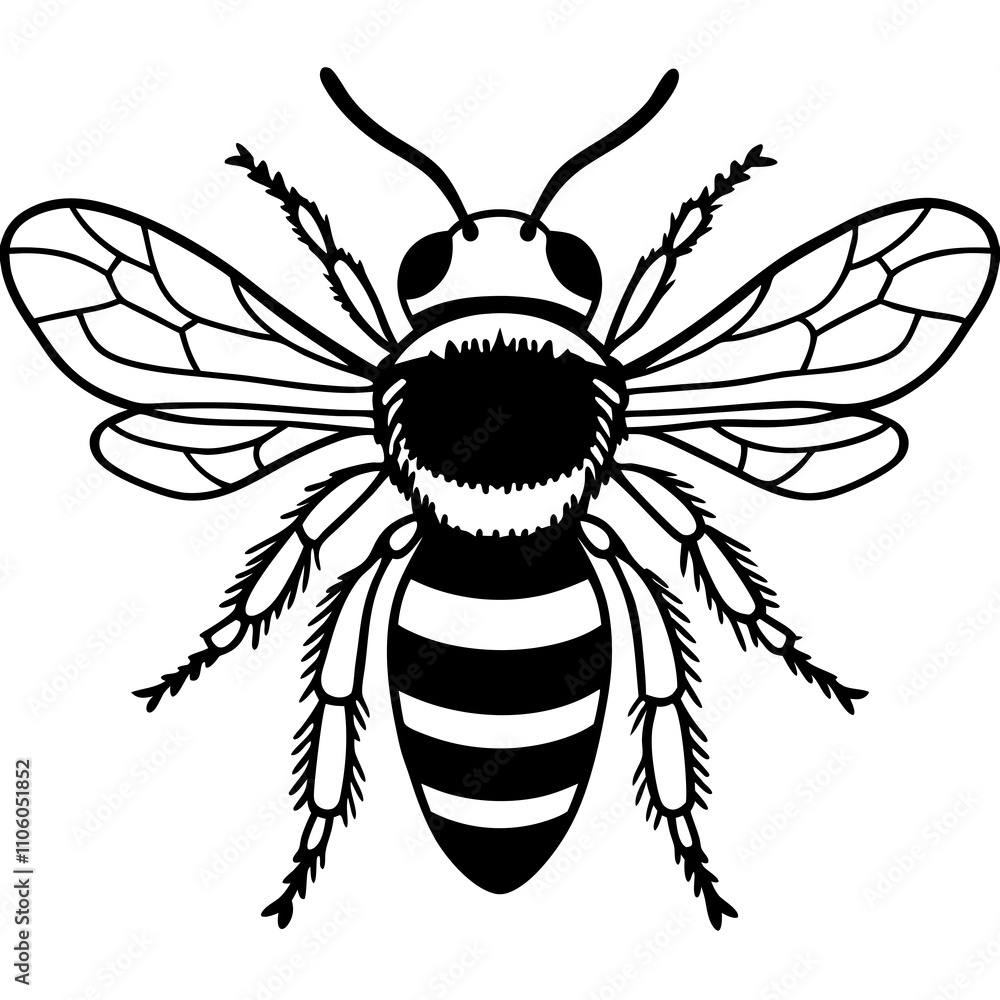 Obraz premium Bee vector silhouette