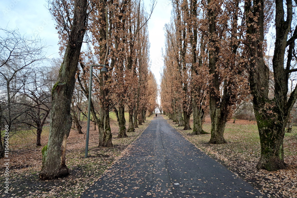 Park Park