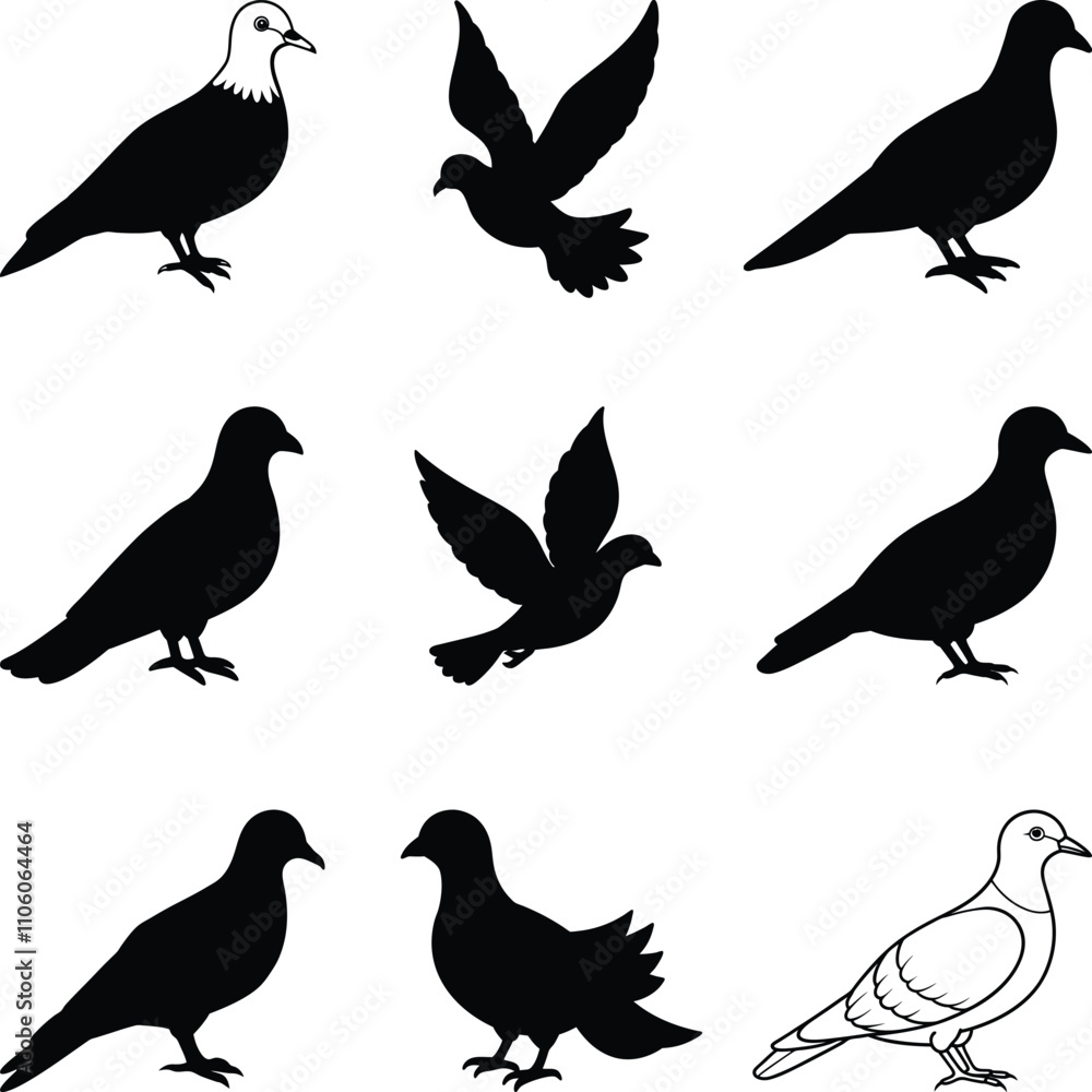 Flying dove vector silhouettes are isolated, and there is a set of black silhouettes of doves in flight. Flying dove vector silhouettes are isolated, and there is a set of black silhouettes of doves in flight.