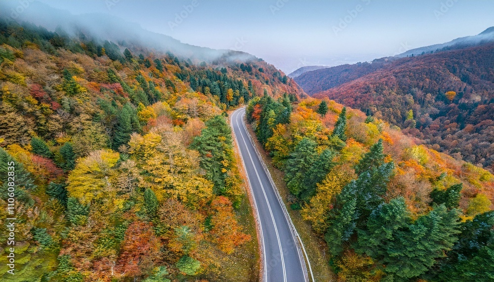 Fototapeta premium Colorful image of bright autumn forest road