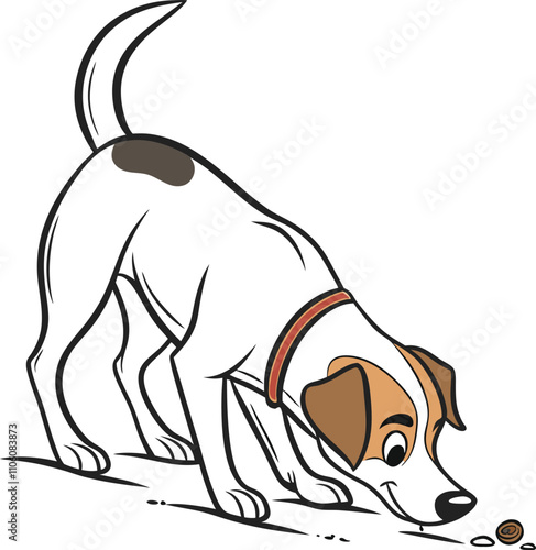 Curious Canine: A playful Jack Russell Terrier with a brown collar eagerly sniffs out a tasty treat on the ground, capturing the playful curiosity of a beloved pet. 