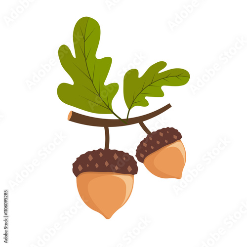Oak Tree Branch with Green Leaves and Acorns Vector Illustration