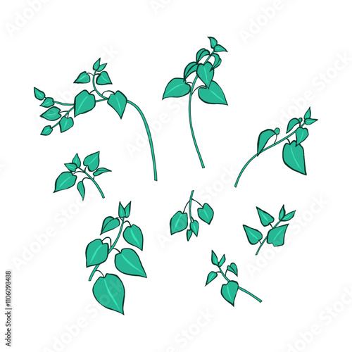 Hand drawn inky sketch style nettle plant set isolated on white background. Medicinal herb line art