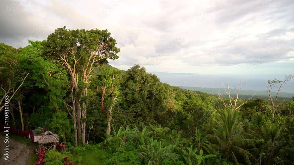 Picturesque Dense green tropical jungle, far in the background blue sea and low clouds Picturesque Dense green tropical jungle, far in the background blue sea and low clouds