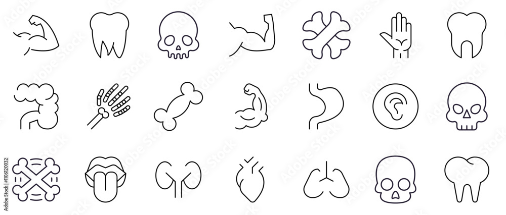 Fototapeta premium Internal Organs, Teeth and Bones Simple Isolated Line Icons Collection. Editable