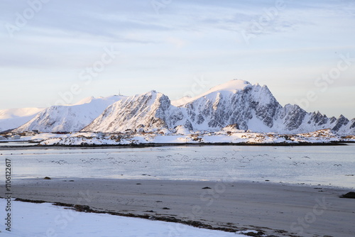 Uccelli in volo sulla spiaggia di Andenes all'alba in inverno, a nord dell'isola di Andoya. Norvegia del Nord. photo