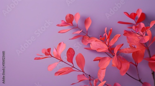 Red stepless pink paper on purple background photo