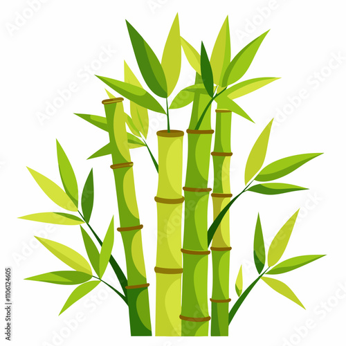 bamboo