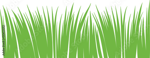 Green Grass Borders Set Isolated on White Background, Vector Illustration, flat style. green leaf. Grass illustration isolated on white background