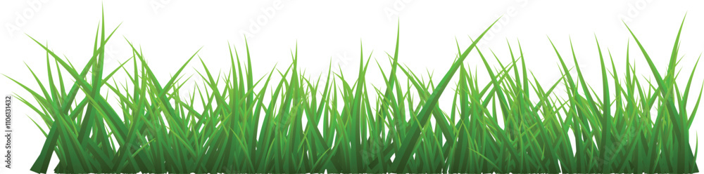 Green Grass Borders Set Isolated on White Background, Vector Illustration, flat style. green leaf. Grass illustration isolated on white background Green Grass Borders Set Isolated on White Background, Vector Illustration, flat style. green leaf. Grass illustration isolated on white background