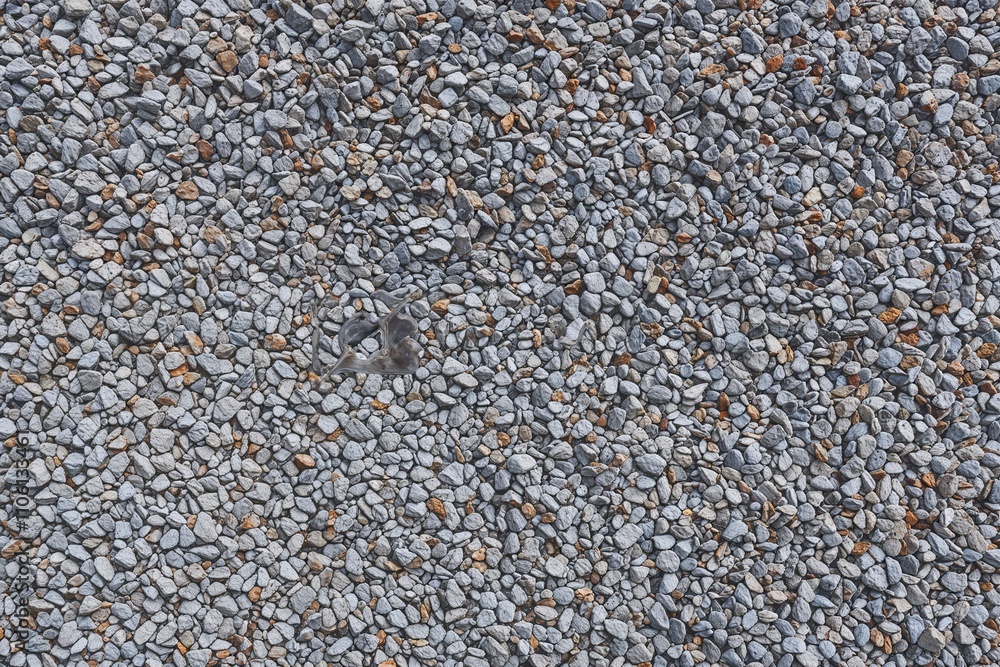 Textured Gravel Isolated on White Background Overhead View Textured Gravel Isolated on White Background Overhead View