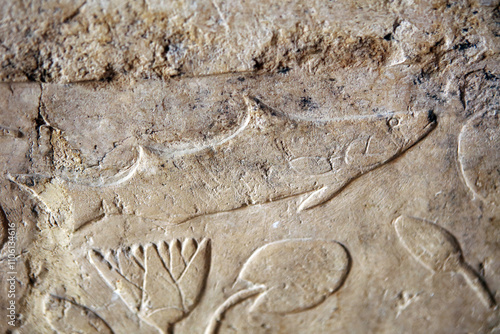 Relief of underwater landscape in Mortuary temple of Hatshepsut in Deir el-Bahari, Egypt photo