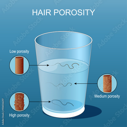 Hair porosity test