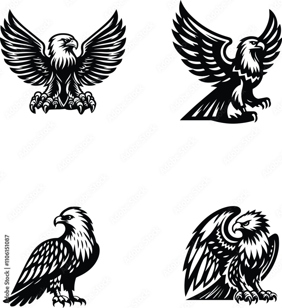 Obraz premium Borelli Eagle vector icon white background.