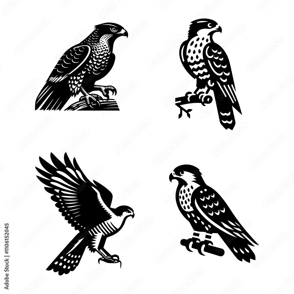 Cassin Hawk vector icon white background. Cassin Hawk vector icon white background.