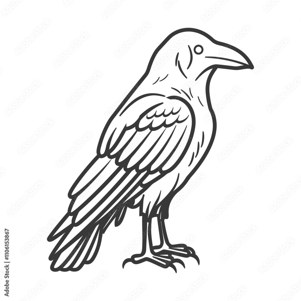 Fototapeta premium Line Drawing Of A Raven With Sharp Claws And A Beak