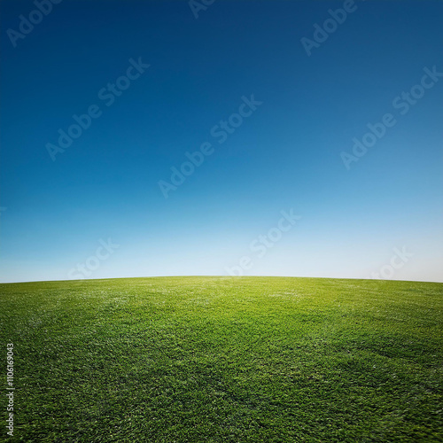 green field and blue sky