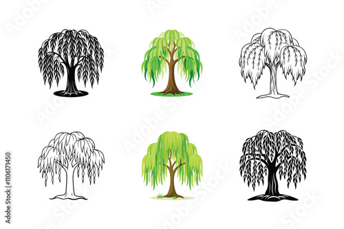 Weeping Willow Tree Vector Set - Elegant Botanical Illustration for Tranquil Nature and Scenic Designs