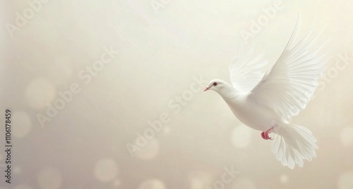 White dove soaring through a foggy sky during early morning light