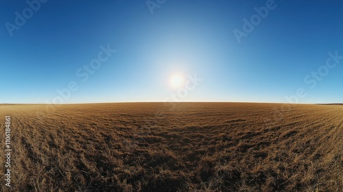 Vast Brown Field Under a Bright Sunny Sky