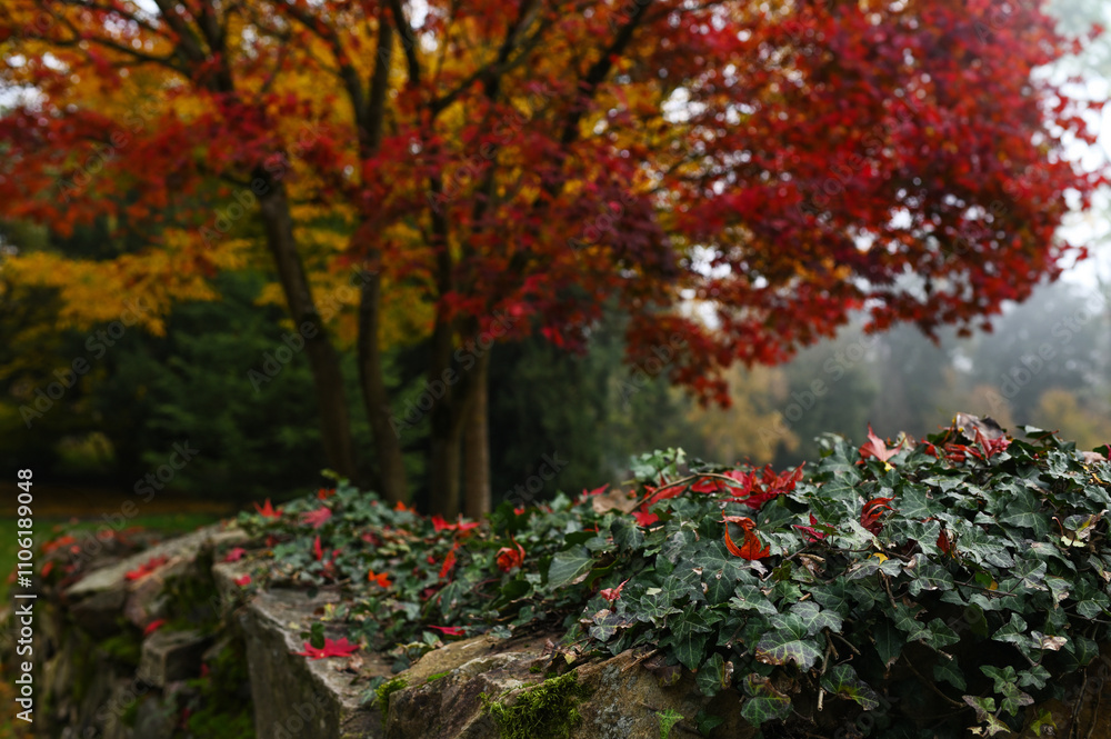 autumn in the german park autumn in the german park