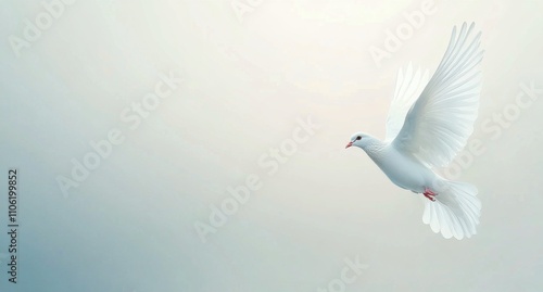 White dove soaring through a foggy sky during early morning light