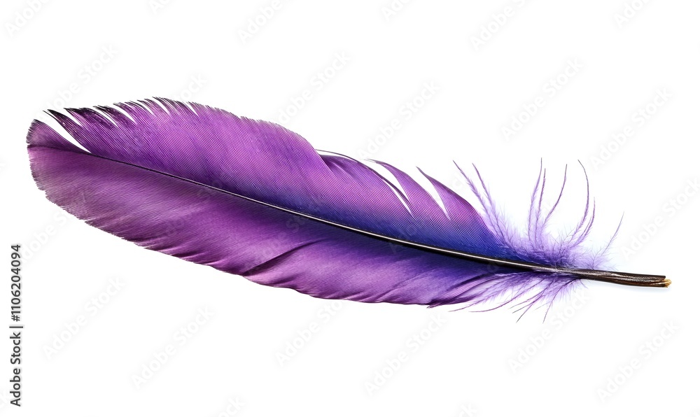 Feather purple white background lightweight, Generative Ai
Feather purple white background lightweight, Generative Ai