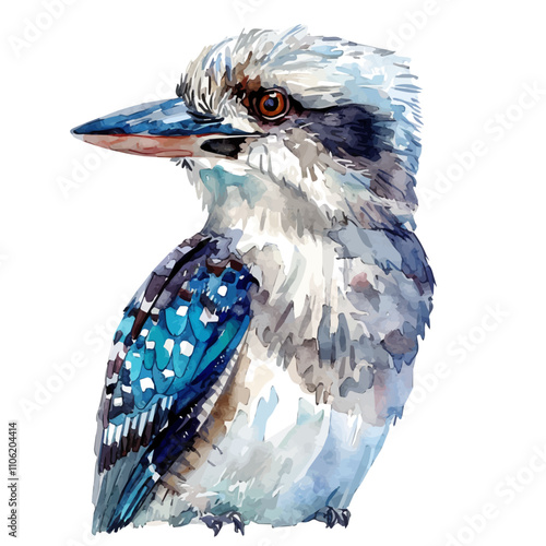 A watercolor painting of Kookaburra, isolated on a white background. Kookaburra vector.