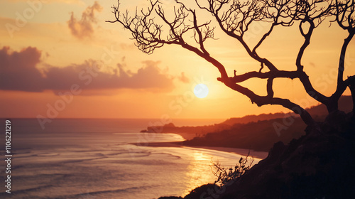 Sunset Over Sumba Island with Mangrove Silhouettes