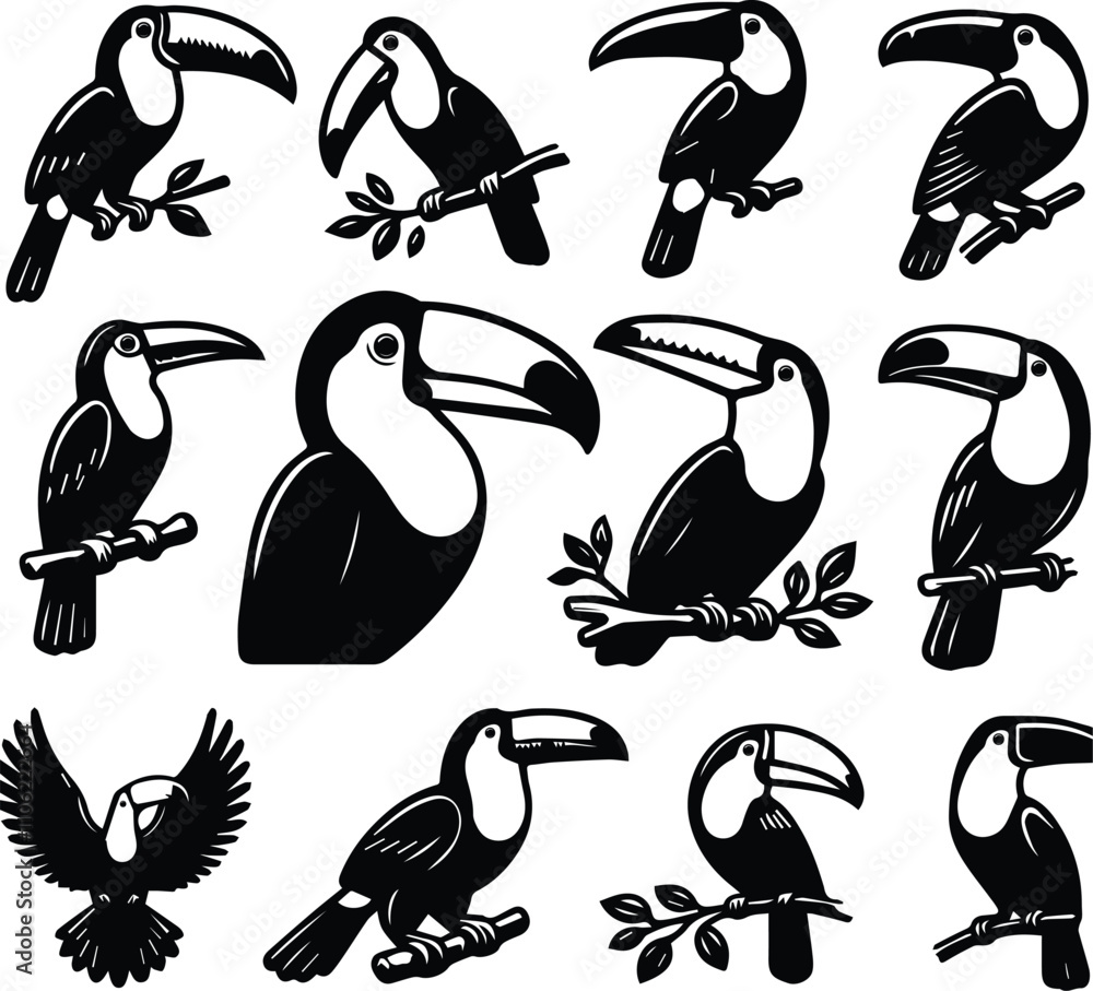 Obraz premium Toucans vector icon 10 set bundle birds white background.