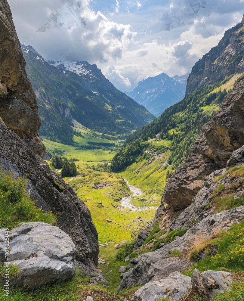 Obraz premium Alpine Valley Vista