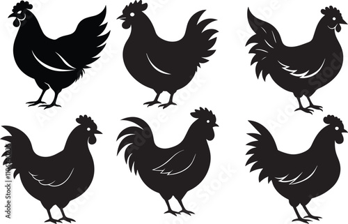 rooster and hen
