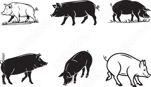 wild animals collection