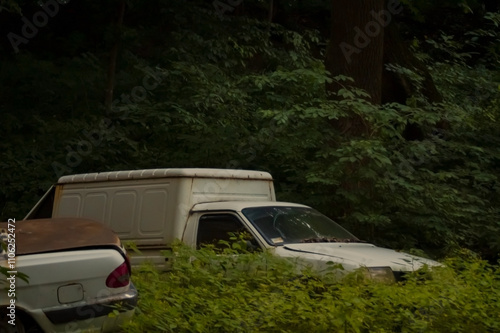 a scene of overgrown vegetation in a wooded area. A white pickup truck is partially obscured by dense foliage, creating a sense of abandonment photo