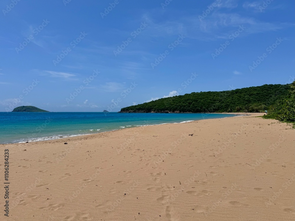 view of a deserted sandy beach in the French West Indies in Guadeloupe
view of a deserted sandy beach in the French West Indies in Guadeloupe