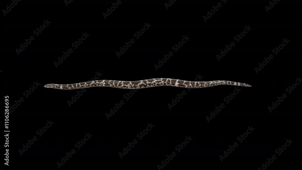 Desert Snake Crawl 3D Video Animation Desert Snake Crawl 3D Video Animation