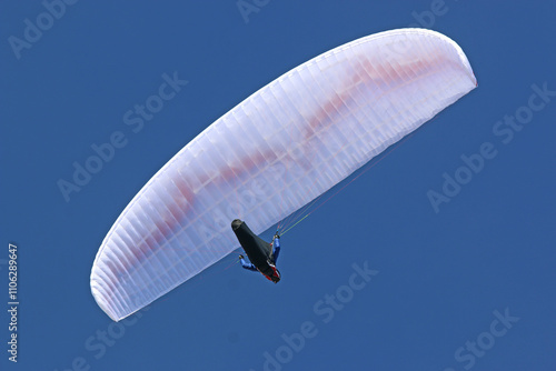 Paraglider flying in a blue sky photo