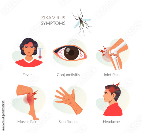 Illustrated Zika Virus Symptoms - Stock Icon