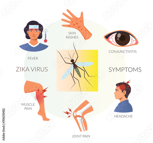 Illustrated Zika Virus Symptoms - Stock Icon