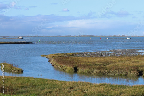 a beautiful tidal salt marsh in the westerschelde sea at the dutch coast in zeeland with high tide