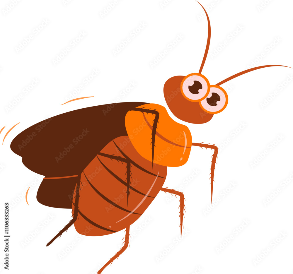 Cockroach illustration. Cockroach life cycle. Cockroach illustration. Cockroach life cycle.