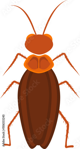 Cockroach illustration. Cockroach life cycle.