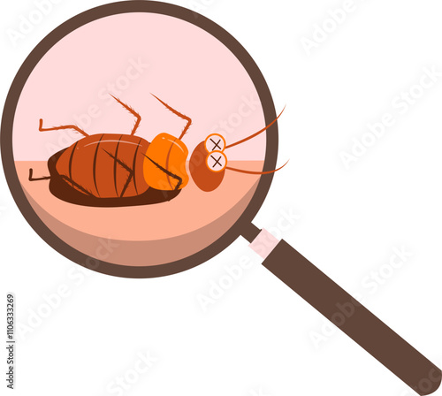 Cockroach illustration. Cockroach life cycle.