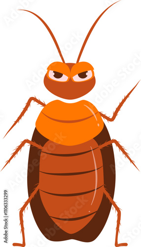 Cockroach illustration. Cockroach life cycle.