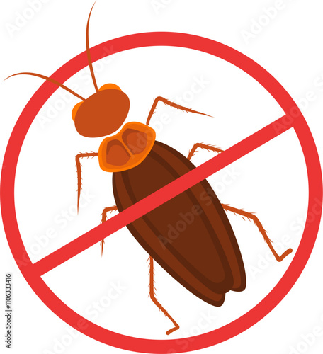 Cockroach illustration. Cockroach life cycle.