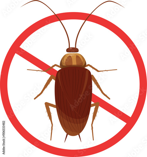 Cockroach illustration. Cockroach life cycle.