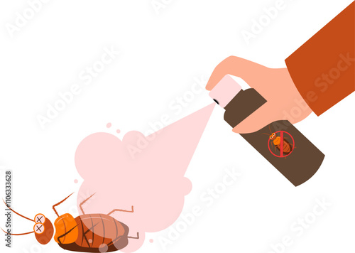 Cockroach illustration. Cockroach life cycle.