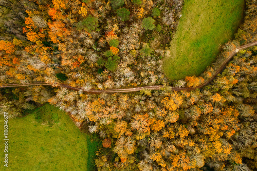 Wallpaper Mural Forêt d'automne vue du ciel aérienne avec un drone arbre ornage Torontodigital.ca