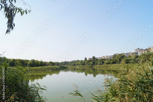 A serene river reflects a clear blue sky, frame by lush green reeds. A distant line of buildings hints at nearby urban life, contrasts with nature's tranquility. photo